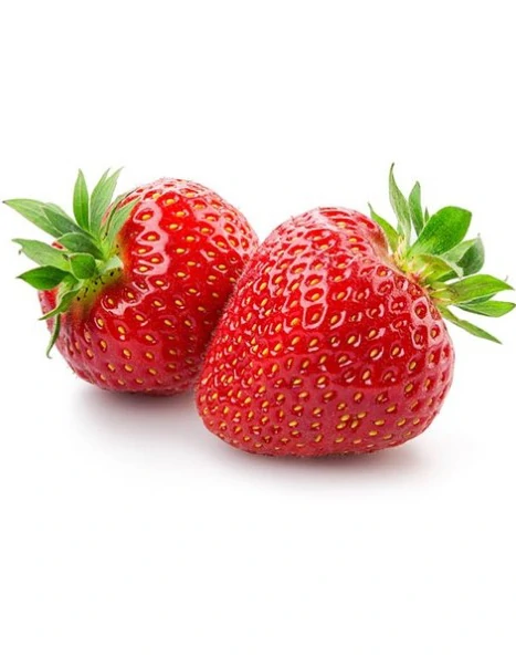 Briole fruits fraises