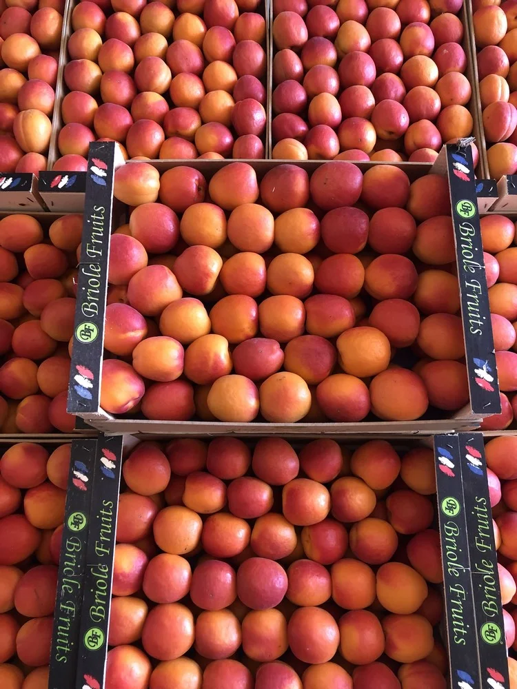 Briole fruits abricot